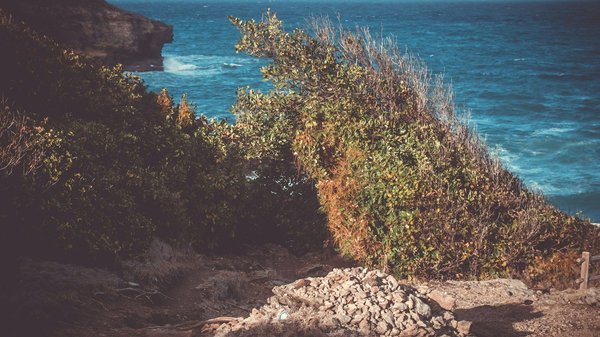 Découvrez l'hôtel vue sur la tour eiffel pour un séjour inoubliable